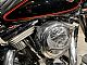 Harley-Davidson&nbsp;Electra Glide Sport