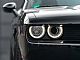 Dodge&nbsp;-&nbsp;<small><strong>CHALLENGER SRT HELLCAT V8 6.2L</strong></small>