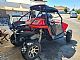 Arctic Cat Wild cat  1000 ccm