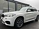 BMW serija X5: <small><strong>xDrive25dM-PAKET-SLO VOZILO-1 LASTNIK-7 SEDEEV</strong></small>