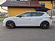 Seat&nbsp;Leon&nbsp;<small><strong>2.0 TSI 221 kW Cupra Start-Stop DSG</strong></small>
