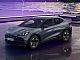 Cupra&nbsp;Tavascan&nbsp;<small><strong>77kWh ENDURANCE FIRST EDITION</strong></small>