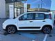 Fiat Panda <small><strong>City Life 1.0 GSE MHEV 51kW + MALO KM + VZDREVANO</strong></small>