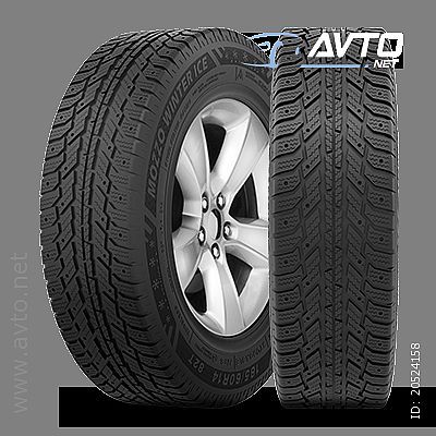 Duraturn MOZZO WINTER <small>195 / 65  R 15</small>