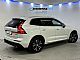 Volvo XC60 <small><strong>B4  D  AWD Aut. Business Plus + 5 LET JAMSTVA</strong></small>