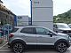 Ford&nbsp;Ecosport&nbsp;<small><strong>1.0 EcoBoost ACTIVE 125KM prevo�enih samo 32.800km</strong></small>