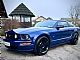 Ford&nbsp;Mustang&nbsp;<small><strong>GT 4.6 V8 COUPE - �PORTNI IZPUH - TOUCHSCREEN</strong></small>