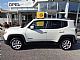 Jeep&nbsp;Renegade&nbsp;<small><strong>2.0 AWD </strong></small>