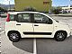 Fiat&nbsp;Panda&nbsp;<small><strong>1.2-ODLI�EN-HITRI KREDIT BREZ POLOGA-LEASING</strong></small>