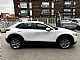 Mazda&nbsp;CX-30&nbsp;<small><strong>G122 Plus</strong></small>