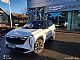 Geely&nbsp;StarRay&nbsp;<small><strong>2.0 TD 8A T AWD GF+ DEMO</strong></small>
