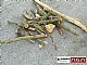 Panex AGM&nbsp;AGM drobilec lesa 13 cm&nbsp;<small><strong></strong></small>