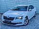 �koda&nbsp;Superb&nbsp;<small><strong>2.0 TDI Style BI XENON LED NAVI </strong></small>