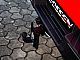 Ford&nbsp;Ranger&nbsp;<small><strong>RAPTOR 3.0 V6 ECOBOOST N1 FOX LED 360 BO TRAIL MAX</strong></small>