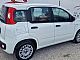 Fiat&nbsp;Panda&nbsp;<small><strong>1.2 8v Lounge</strong></small>