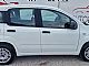Fiat&nbsp;Panda&nbsp;<small><strong>1.2 8v Lounge</strong></small>