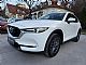 Mazda&nbsp;CX-5&nbsp;<small><strong>2.2 CD 150 REVOLUTION AVTOMATIK-NAVI-LED-KAMERA</strong></small>