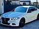 BMW&nbsp;serija 5:&nbsp;<small><strong>520d xDrive- M PAKET-USNJE-ALU19-WEBASTO-KLJUKA</strong></small>