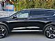 Hyundai&nbsp;Santa Fe&nbsp;<small><strong>2.2 CRDI Premium 4WD DCT</strong></small>