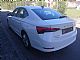 �koda&nbsp;Octavia&nbsp;<small><strong>OCTAVIA  AMBITION 2.0 TDI DSG</strong></small>