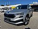 �koda&nbsp;Karoq&nbsp;<small><strong>Business 2.0 TDI DSG LED+VIRTUAL+NAVI+KAMERA+ASIST</strong></small>