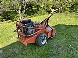 Briggs Stratton Barreto 1620 B