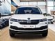 �koda&nbsp;Karoq&nbsp;<small><strong>Ambition 1.6 TDI DSG</strong></small>