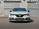 Renault&nbsp;Megane&nbsp;<small><strong>M�gane RS Trophy TCe 300 EDC Recaro</strong></small>