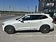 Volvo&nbsp;XC60&nbsp;<small><strong>D4 AWD Inscription Avt.. PANORAMA. LED. VL.KLJUKA.</strong></small>