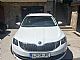 �koda&nbsp;Octavia&nbsp;<small><strong>Combi 2.0 TDI Ambition DSG</strong></small>
