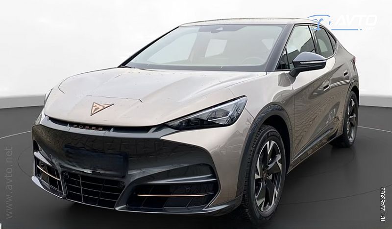 Cupra&nbsp;Tavascan&nbsp;<small><strong>Endurance </strong></small>