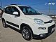 Fiat&nbsp;Panda&nbsp;<small><strong>CLIMBING 4x4 1.3 JTD 95ks �MOTOR z 30.000 km�</strong></small>