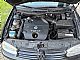 Volkswagen&nbsp;Golf&nbsp;<small><strong></strong></small>