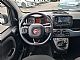 Fiat&nbsp;Panda&nbsp;<small><strong>1.0 MHEV - SAMO 26.769KM - ODLI�NO OHRANJENO</strong></small>