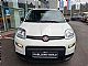 Fiat&nbsp;Panda&nbsp;<small><strong>1.0 MHEV - SAMO 26.769KM - ODLI�NO OHRANJENO</strong></small>