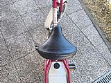 Rog Pony ekspress