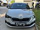 �koda&nbsp;Scala&nbsp;<small><strong>1.0 TSI Style - ODLI�NA</strong></small>