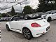 Volkswagen&nbsp;Beetle&nbsp;<small><strong>Cabriolet 2.0 TDI R-LiNE CUP LED XENON NAVI ALU 19</strong></small>
