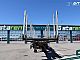 Hangler&nbsp;Holzrungen Auflieger Exte Rungen Lift- + Lenkachse&nbsp;<small><strong></strong></small>