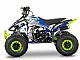ATV&nbsp;TS KIDS 125 cc - MLADOSTNI ATV TS125