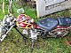 Pioneer&nbsp;chopper 50ccm