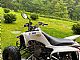 Yamaha&nbsp;YFM 250 Raptor Homologiran