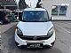 Fiat&nbsp;Doblo&nbsp;<small><strong>1.6 Multijet SLO</strong></small>