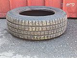 Nexen Win Guard WT1