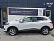 Renault&nbsp;Kadjar&nbsp;<small><strong>TCe 140 Limited Slo 1.Last. 1 LETO JAMSTVA</strong></small>