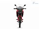 QJMotor&nbsp;SRT 300DX
