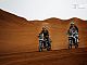 CF Moto&nbsp;CFMOTO 800MT-X LOW   TALL SEAT 