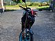Yamaha&nbsp;MT125