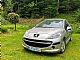 Peugeot&nbsp;207&nbsp;<small><strong>wckfuc</strong></small>
