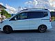 Ford&nbsp;Tourneo Courier&nbsp;<small><strong>1.0 EcoBoost Trend</strong></small>